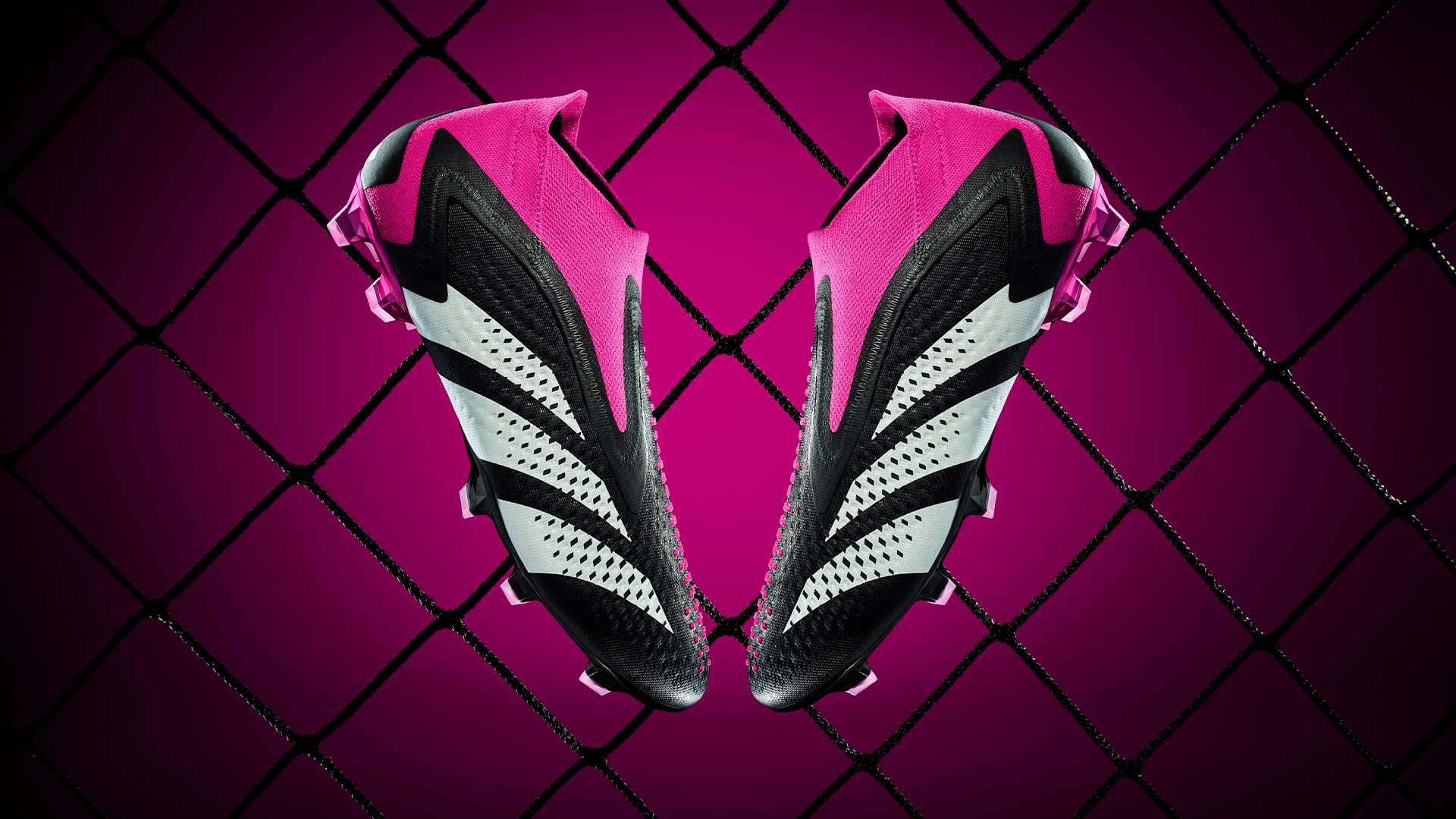 為阿根廷帶 為阿根廷帶